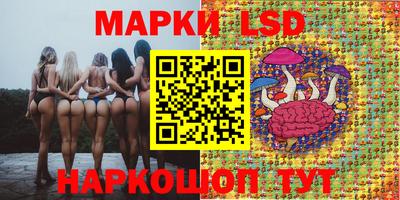 прущие грибы Краснодар