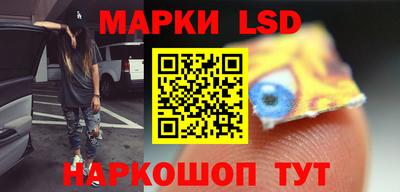 прущие грибы Краснодар