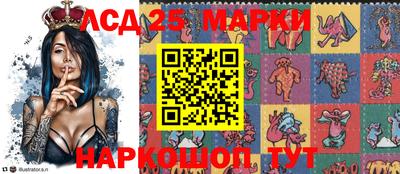 прущие грибы Краснодар
