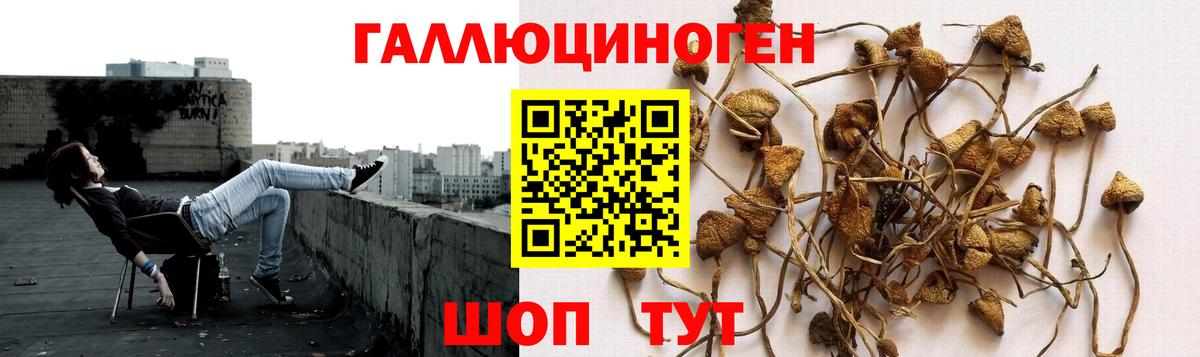 Псилоцибиновые грибы GOLDEN TEACHER Алушта