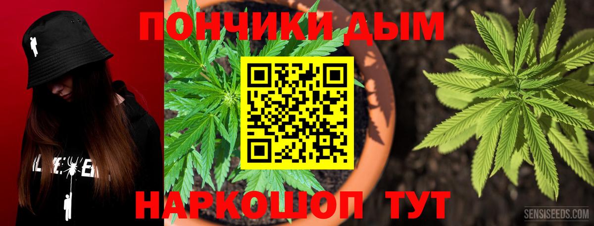 Алушта  Бошки марихуана конопля  Вход с VPN  Канабис VHQ  Канабис ГИДРОПОН  Каннабис сатива 